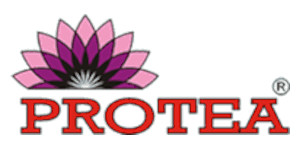 logotyp PROTEA S.A.